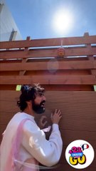 Spider-Chat m'a donné ses pouvoirs ️️