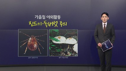 [뉴스UP] 가을 야외활동 건강 비상...진드기·독버섯 주의 / YTN