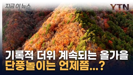 기록적 더위 계속되는 올가을...첫 단풍은 '이 때' [지금이뉴스] / YTN