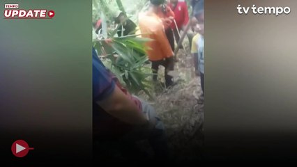 Kronologi Penemuan Jenazah Penjual Gorengan di Pariaman Dikubur Tanpa Busana