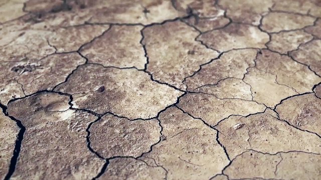 JASON ALDEAN - DIRT WE WERE RAISED ON (LYRIC VIDEO PERFORMED BY JEFF LUPUS)