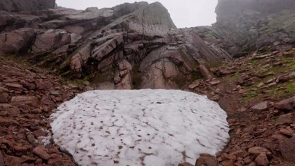 [나우쇼츠] 스노우패치 '너마저'...안 녹을 줄 알았는데 소멸 위기 / YTN