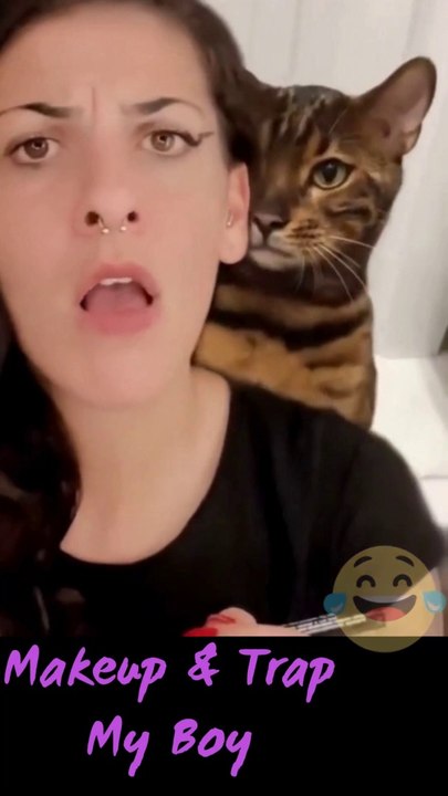 Cat Slaps Girl During Makeup Routine – Funny and Unexpected Moment!