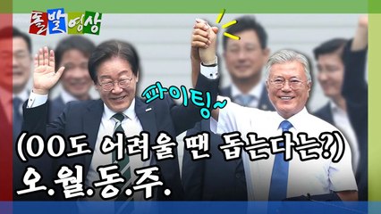 [돌발영상] 함께 사는 세상 / YTN