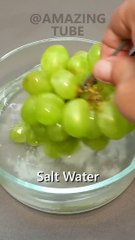 Grapes to Raisins - 40 Days Time lapse