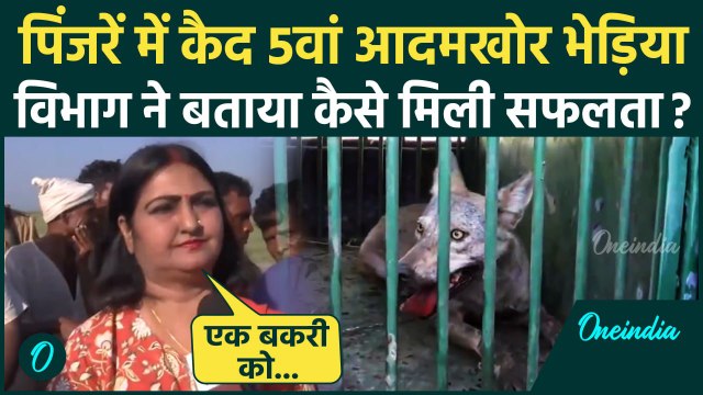 Bahraich Bhediya Video: बहराइच में पिंजरें में कैद 5वां भेड़िया| UP News | CM Yogi | वनइंडिया हिंदी