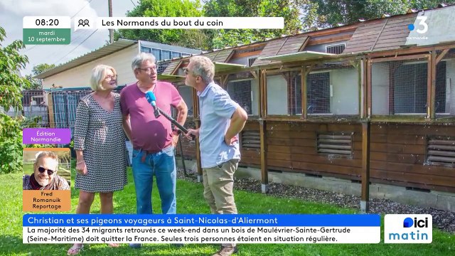 Saint Nicolas d'Aliermont - Christian et ses pigeons voyageurs