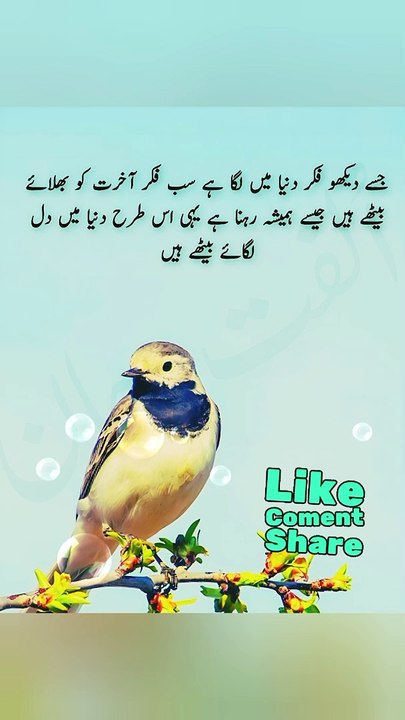 Es trha Duniya Mein Dil lagye baithy Hain 