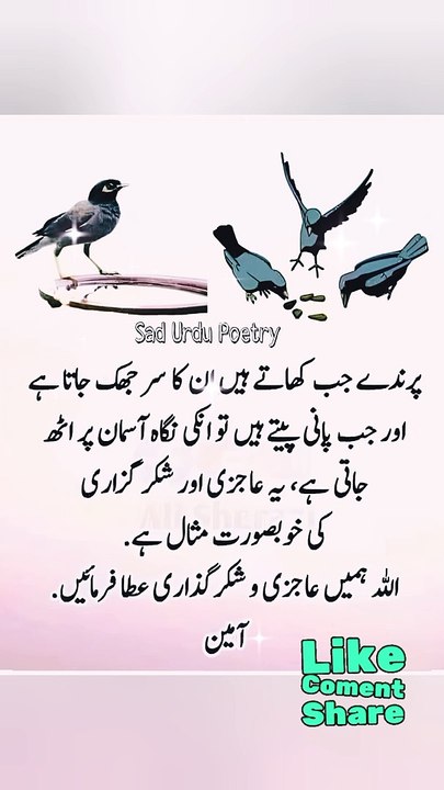 Allah hamy aajzi or Shukr guzari Aata farmye 