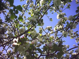 Анна Герман  Любви негромкие слова