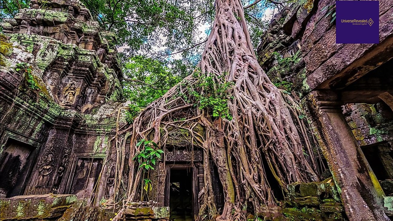 Ta Prohm Temple Cambodia