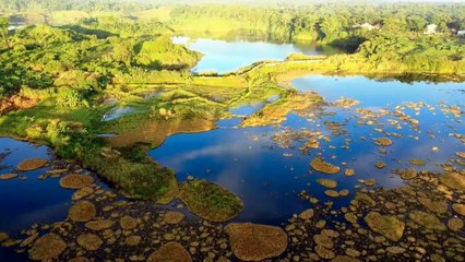 SHOLAWAT MERDU YA TARIM