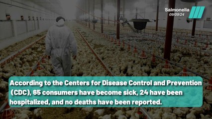 Milo’s Poultry Farms Halts Production Amid Salmonella Crisis