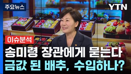 [경제PICK] "과일은 잡혔지만 배추·무 가격 상승"...추석 물가 상황은? / YTN