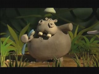 Hippo - Animals save the planet
