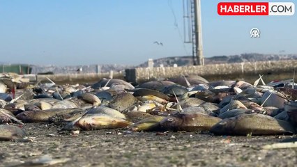 İzmir Körfezi'ndeki kirlilikle ilgili belediyeye 1,8 milyon lira ceza