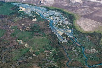 Eskişehir'in sakin köşesi: Balıkdamı Kuş Cenneti'nde kuşların eşsiz dansı