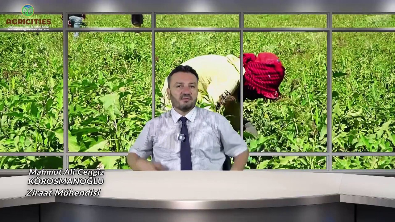 Tarımda Çalışanların Sorunları