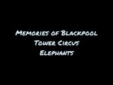 Blackpool Tower Circus Elephants