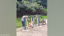 WHEN YOUR DOG CHOOSES TO BELIEVE IN YOU - FUNNY DOG AND HUMAN #24