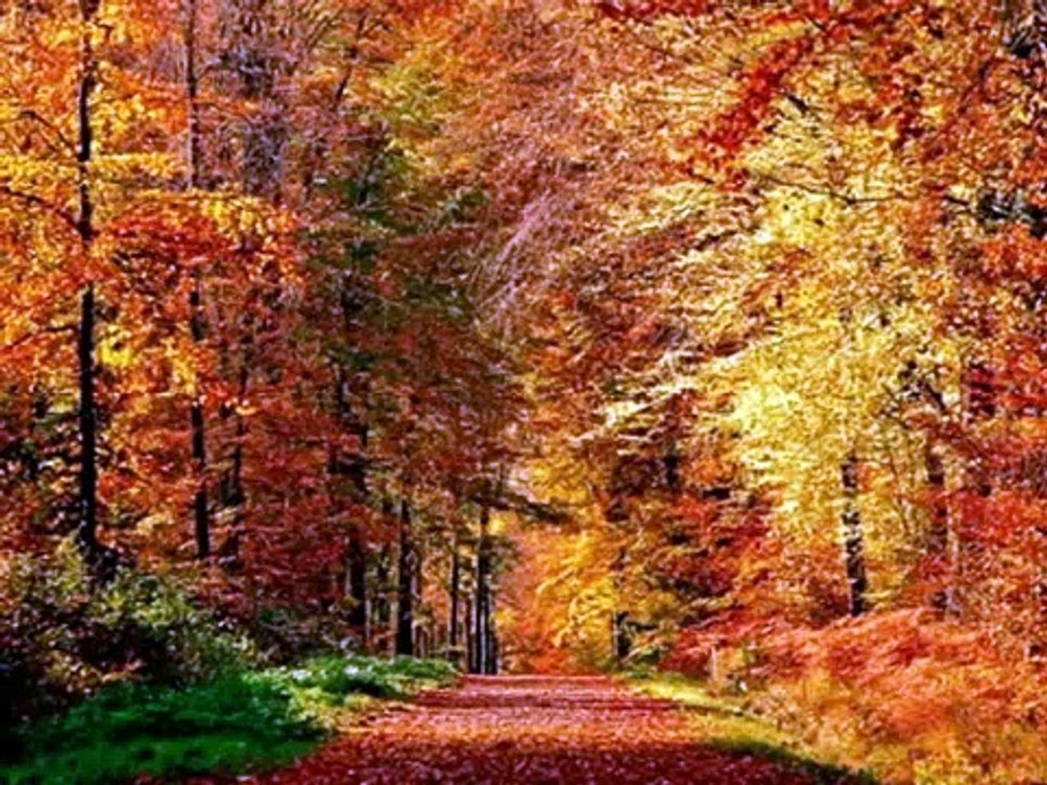 Botir Zokirov - Maro bibus