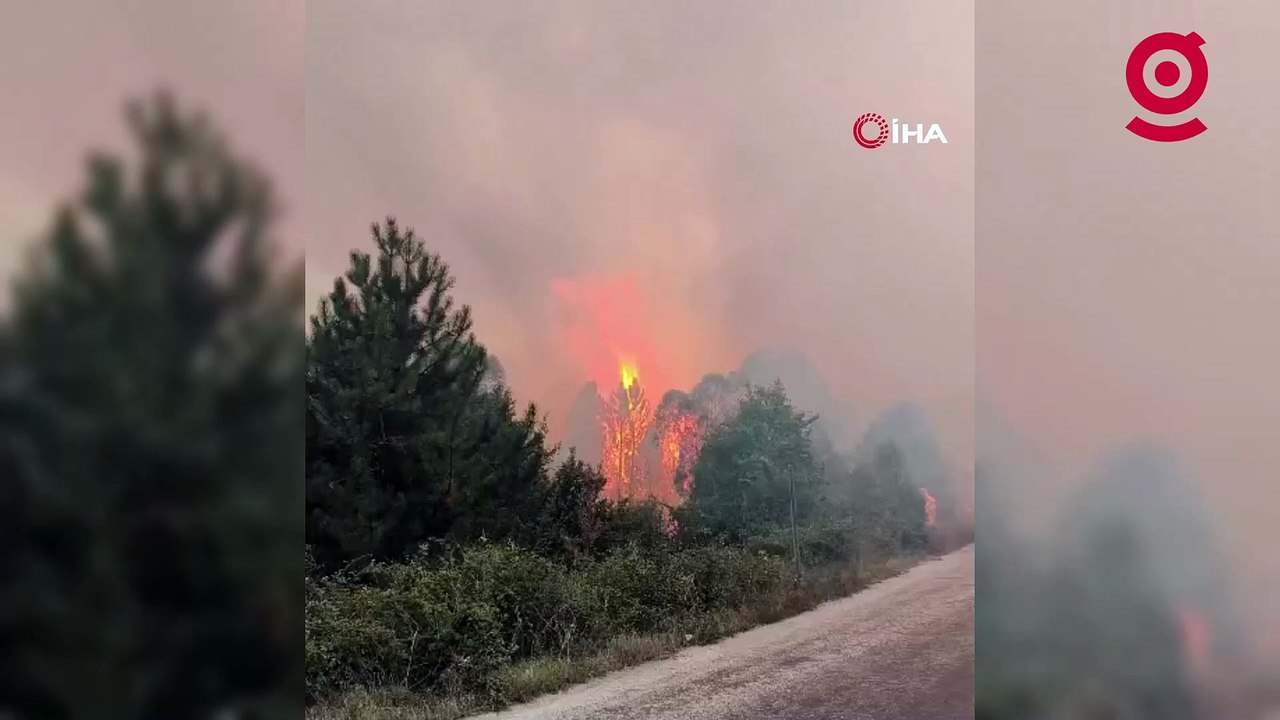 Bolu'da orman yangını çıktı