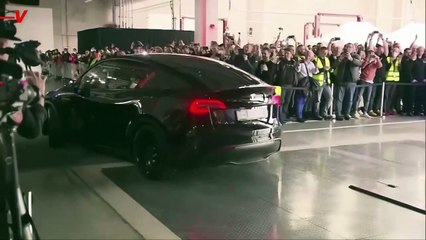 New Study Reveals Musk’s Trillion-Dollar Affiliation in More Ways Than One