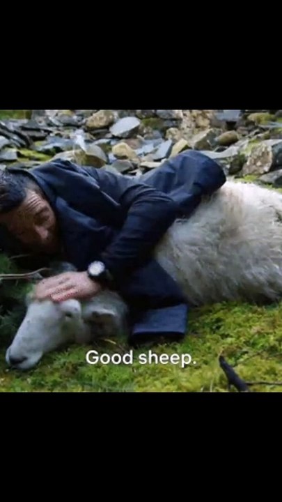 Une famille périt en suivant des tutoriels de survie sur YouTube  #survie#youtube #mortalvideo