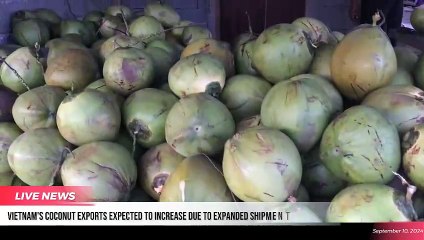 The Supply Chain Report News Roundup - 10th September 2024