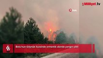 Bolu'da orman yangını! Alevler hızla yayılıyor