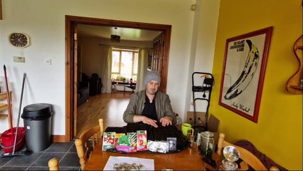 Which spring flowers and autumn vegetables to sow in September