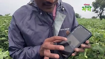 ई पीक पाहणी शेतकऱ्यांनी डोकं फोडून घ्यावं का