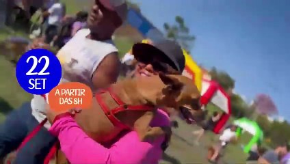 Ao Vivo: Balanço Geral Campinas - Tarde com Giuliano Marcos