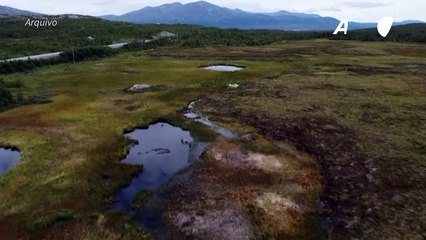 Concentração de metano na atmosfera aumenta constantemente e cada vez mais rápido
