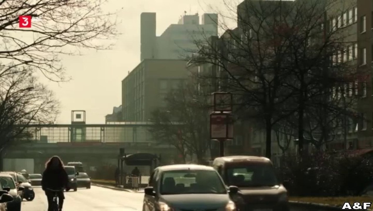 Zwei verlorene Schafe