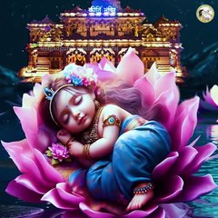 VID-20240910-WA0080
