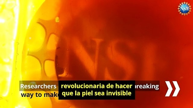 Científicos lograron hacer transparente la piel