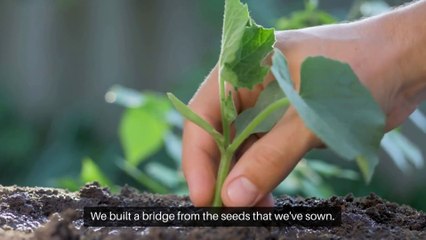 Rhythms of Our Love.