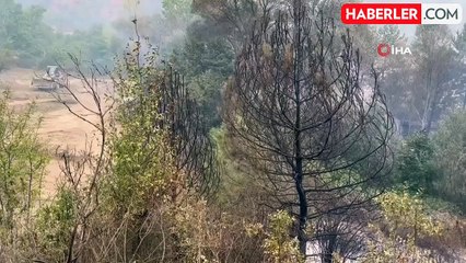 Bolu'da orman yangını kontrol altına alındı