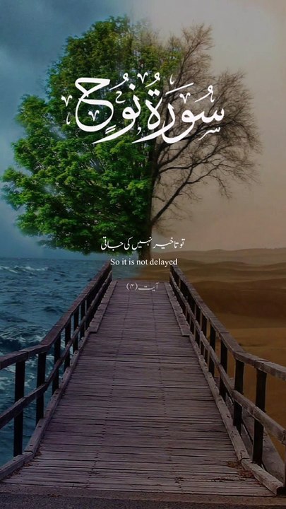 surah nuh ayat 4 urdu translation #alquran#islamic video#islam