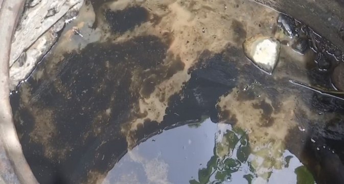 Idaan asegura que mano delincuencial contaminó con aceite el agua de la 7 de septiembre en Arraiján