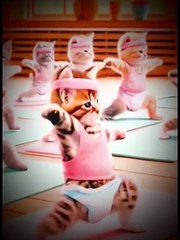 Catas yoga