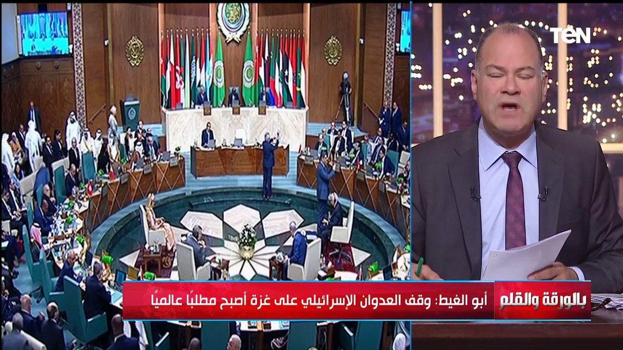عام من عجز المجتمع الدولي ووقف العدوان الإسـ ـرائيلي على غـ ـزة.. أبرز ما جاء بكلمة أبو الغيط وبوريل