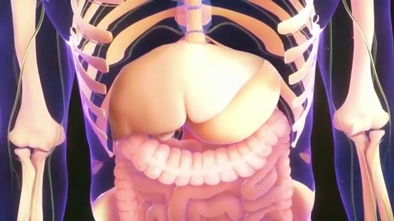 Fill Up With a Cup...Flatten Your Belly & Burn Away Fat! Dr. Mandell  motivationaldoc 9.17M subscribers  Subscribe  19K   S