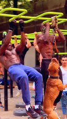 Body building V s gym  #motivation #attitude #explore #calisthenic #fitness #workout #shorts