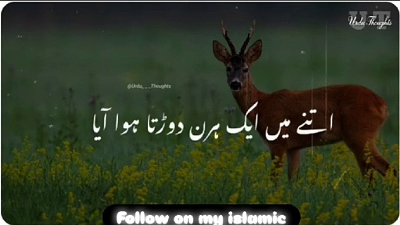 Urdu thoughts
