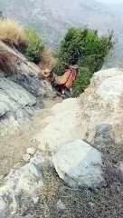 اللهم صلّ وسلم على نبينا محمد