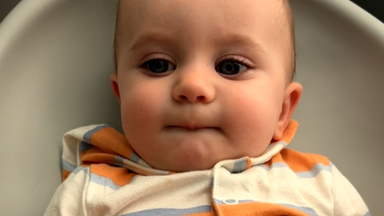 Adorable baby goes from hating to adoring dancing cactus toy over time