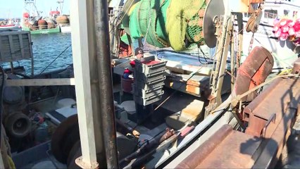 10 sept TOPO AD Crise crevettiers VF