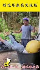 Must-watch Funny Hilarious, LOL,Meme, Satire Silly